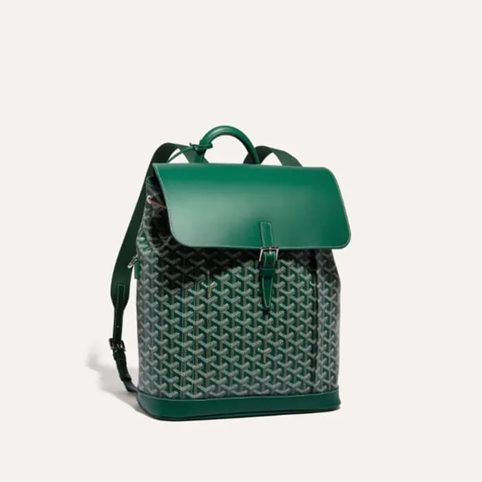 고야드 남/녀 그린 알팡 백팩 MM - Goyard Unisex Alpin Back Pac… - 1
