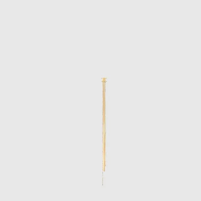 셀린느 여성 트리옹프 이어링 - Celine Womens Triomphe Earring - acc10515x - 1