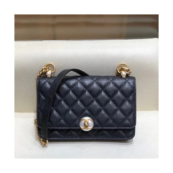 Chanel 2019 WOC Chain Cross Bag,19CM - 샤넬 2019 WOC… - 1
