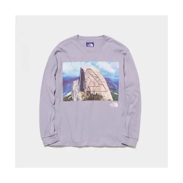 The North Face Mens Logo Cotton Tshirts Purple - … - 1