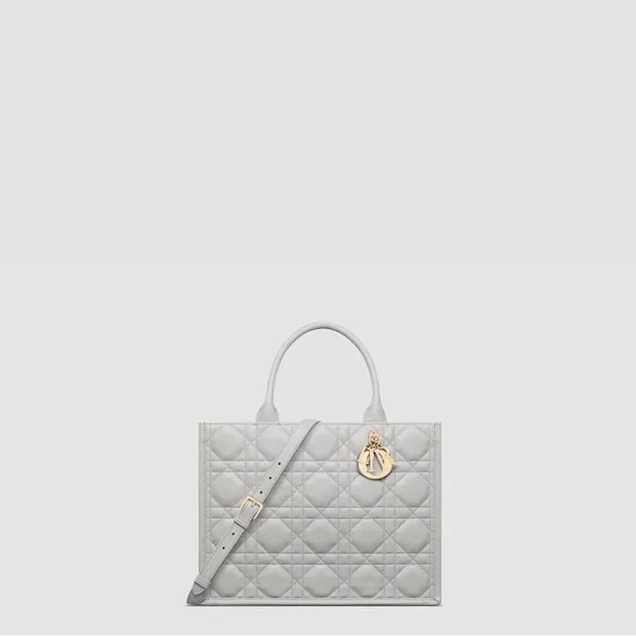 디올 여성 북토트 미디엄 백 - Dior Womens Book Tote Medium Bag… - 1
