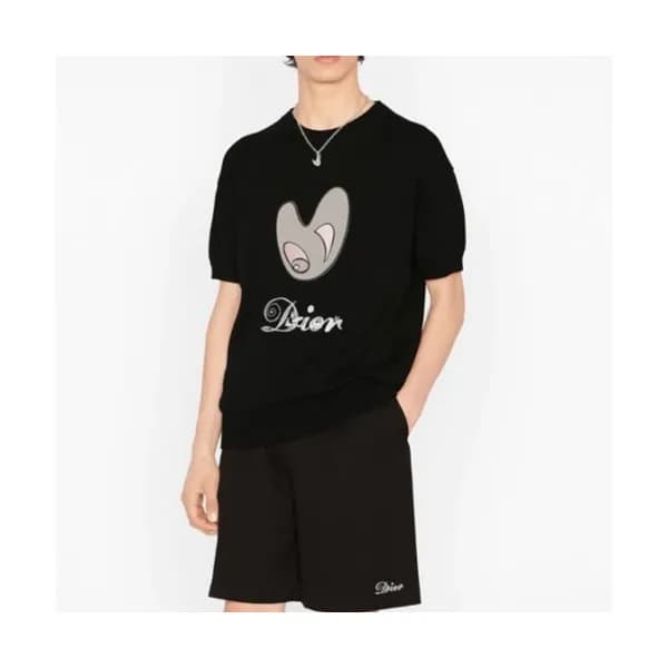Dior Mm/Wm Casual Crew-neck Short Sleeved Tshirts… - 1