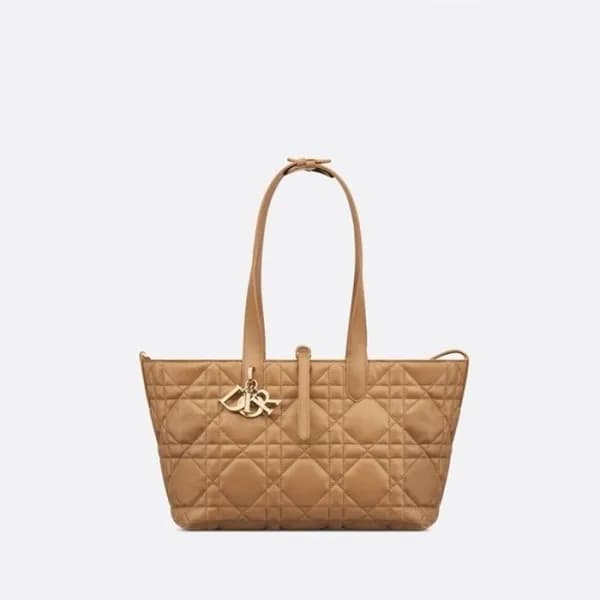 디올 여성 카멜 뚜주흐 백 - Dior Womens Camel Toujours Bag - … - 1