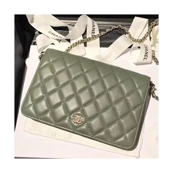 Chanel 2018 WOC Leather Chain Cross Bag ,19CM - 샤넬… - 1