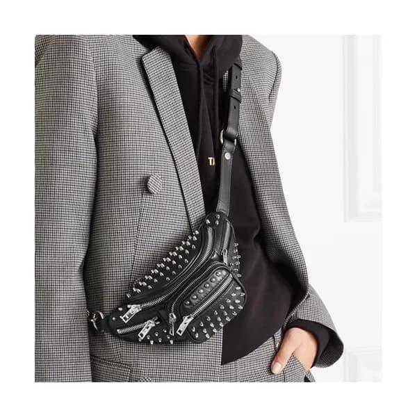 Alexander Wang 2019 Leather Mini Belt Bag,22cm - 알… - 1