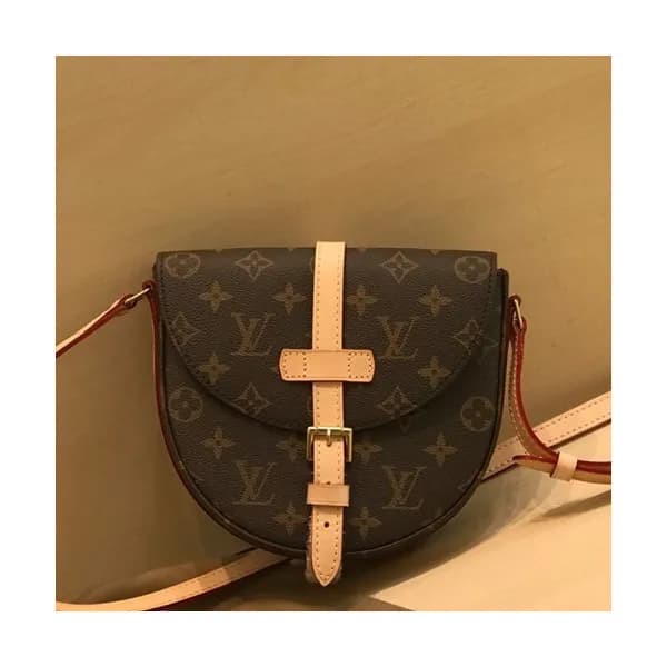 Louis Viutton 2019 Monogram Shouder Cross Bag ,24c… - 1