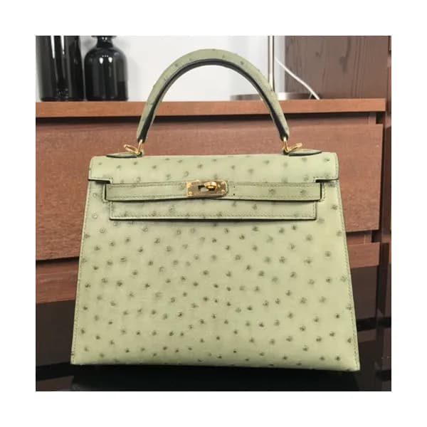 Hermes Kelly Ostrich Leather Tote Shoulder Bag ,25… - 1