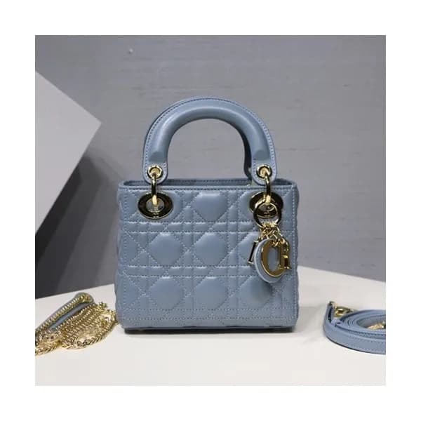 Dior 2019 Lady Dior Tote Shoulder Bag,17CM - 디올 20… - 1