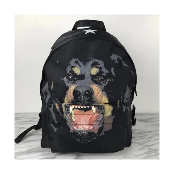 Givenchy 2019 Canvas & Leather Back Pack,41cm - 지방… - 1