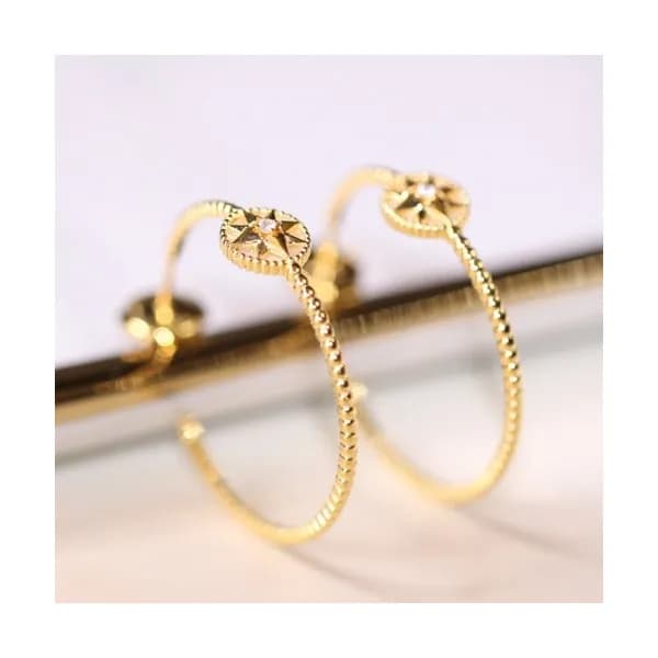 Dior 2020 Ladies Earring - 디올 2020 여성용 이어링 ACC037… - 1