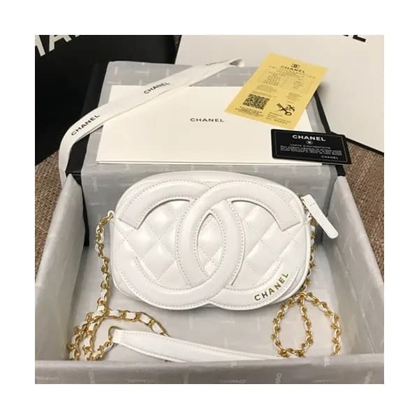 Chanel 2020 Camera Chain Shoulder Cross Bag,20CM -… - 1