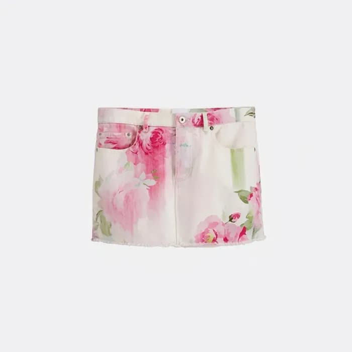 디올 여성 페인티드 로즈 미니스커트 - Dior Womens Painted Roses Mi… - 1