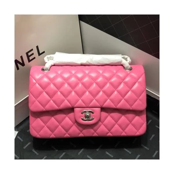 Chanel Women Chain Shoulder Bag,25CM - 샤넬 여성용 체인 숄… - 1