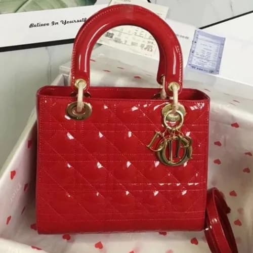 Dior 2019 Lady Dior Tote Shoulder Bag,24CM - 디올 20… - 1