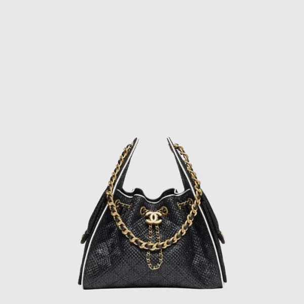 샤넬 여성 25 백 스몰 - Chanel Womens 25 Bag - chb16010x - 1