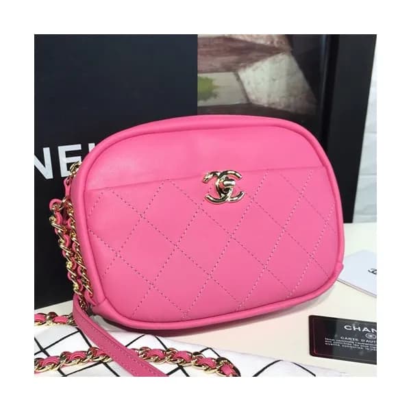 Chanel Chain Leather Camera Bag, 19CM - 샤넬 체인 레더 카… - 1