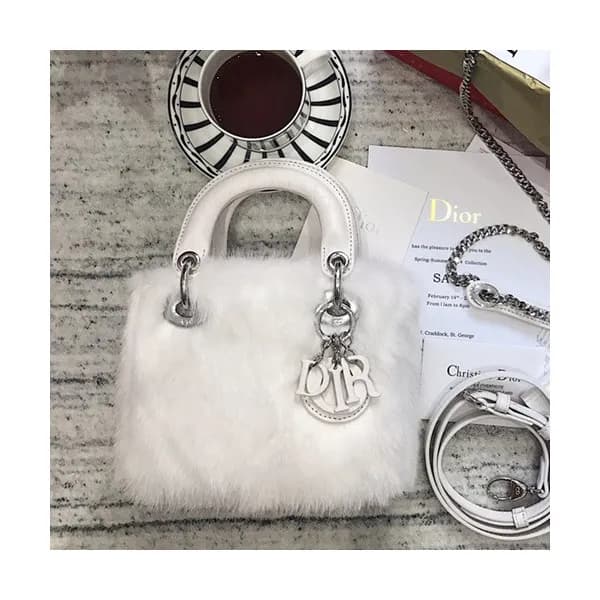 Dior 2019 Mini Lady Tote Shoulder Bag,17CM - 디올 20… - 1
