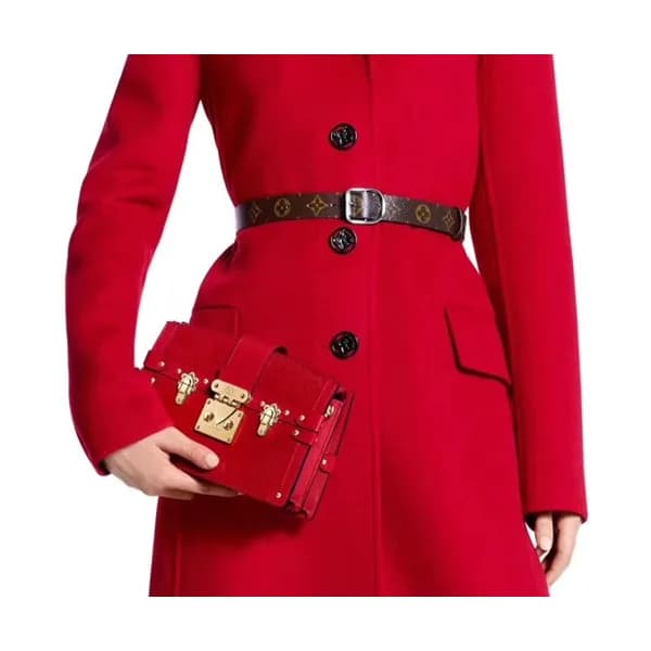 Louis Vuitton 2019 Trunk Clutch Shoulder Bag,20cm … - 1