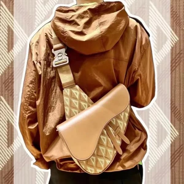 디올 남성 카멜 새들백 - Dior Mens Camel Saddle Bag - di415x - 1