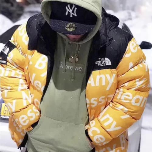 The North Face x Supereme 2018 Duck Down Padding -… - 1