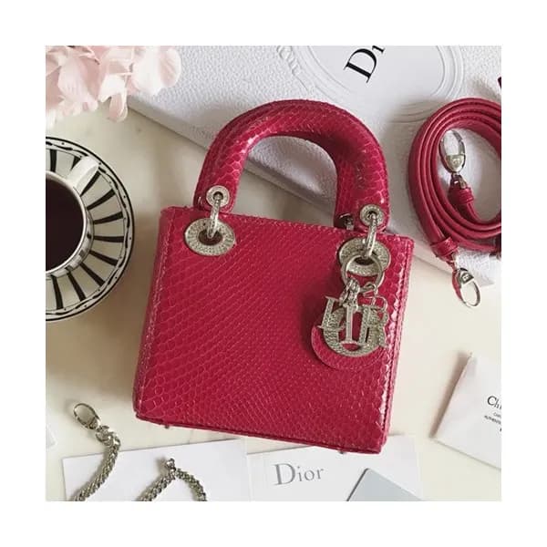 Dior 2019 Lady Dior Mini Tote Shoulder Bag,17CM - … - 1