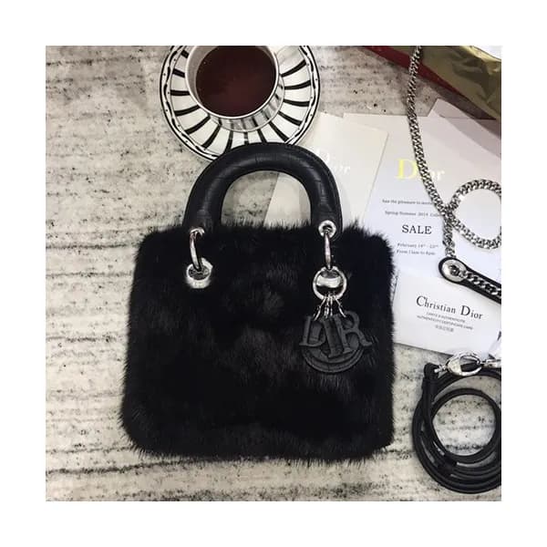 Dior 2019 Mini Lady Tote Shoulder Bag,17CM - 디올 20… - 1