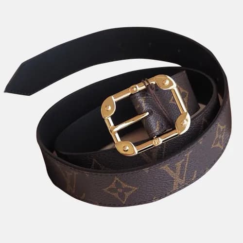 Louis vuitton 2019 Ladies Canvas & Leather Belt - … - 1