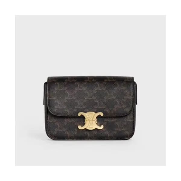 Celine 2020 Triomphe Canvas Shoulder Bag,16.5CM - … - 1