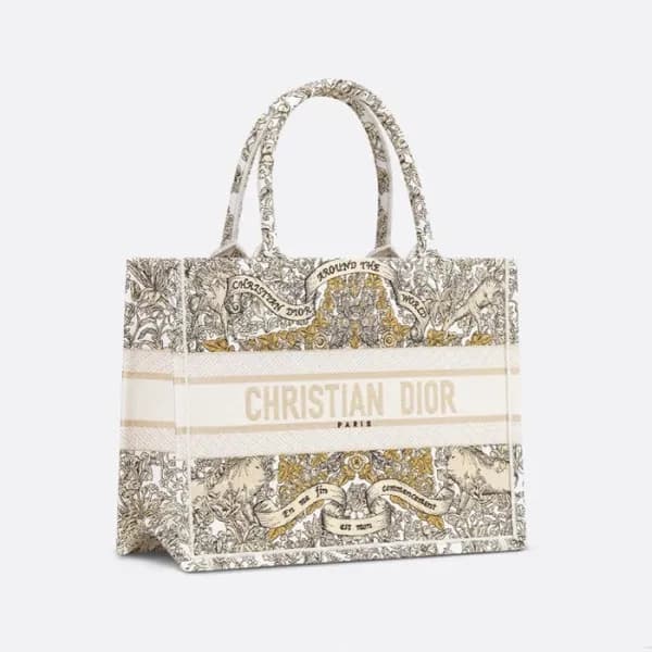 디올 여성 어라운드 더 월드 북토트 - Dior Womens Around The World… - 1