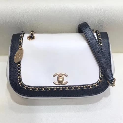 Chanel 2019 Woman Flab Shoulder Bag,22CM - 샤넬 2019… - 1