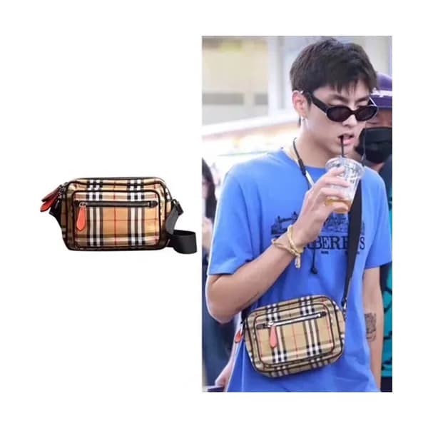 Burberry 2018 Leather Check Camera Shoulder Bag, 2… - 1