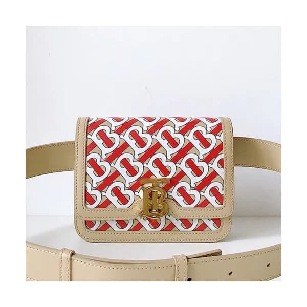 Burberry 2019 Ladies TB Leather Hip Sack , 17cm - … - 1