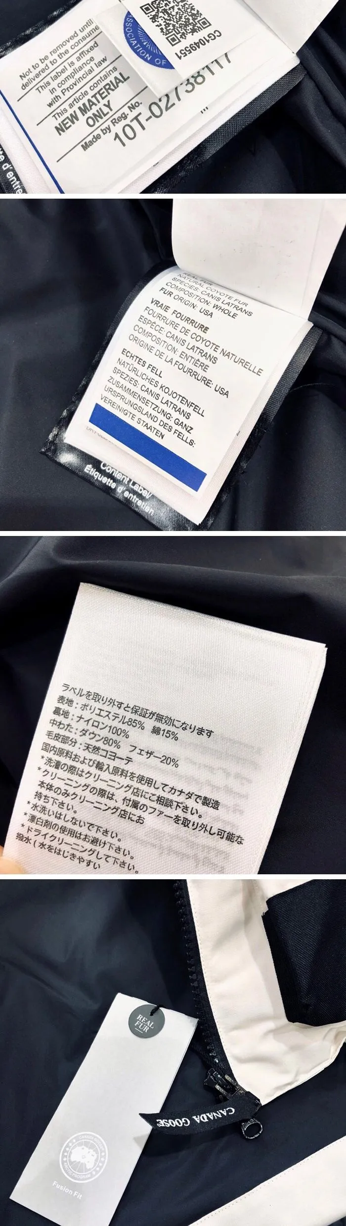 43509_15716455213991.jpg