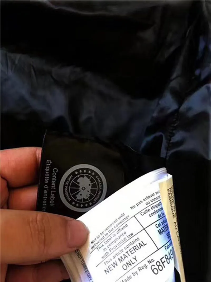 7368_15341362022084.jpg