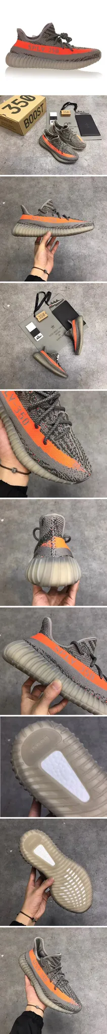 17390_15465949390820.jpg
