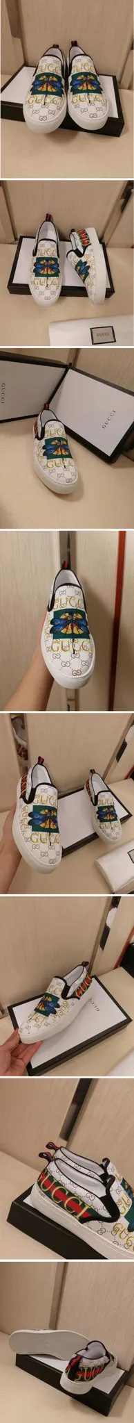 17080_15464119345494.jpg