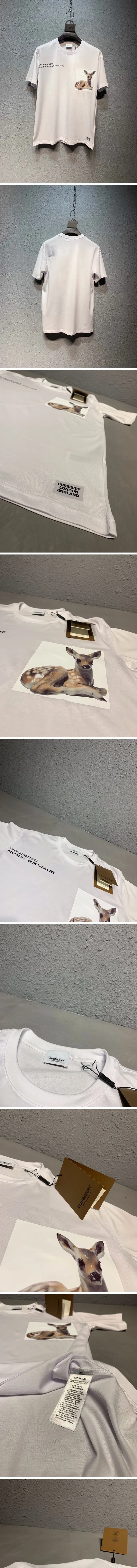 25554_15557286249814.jpg