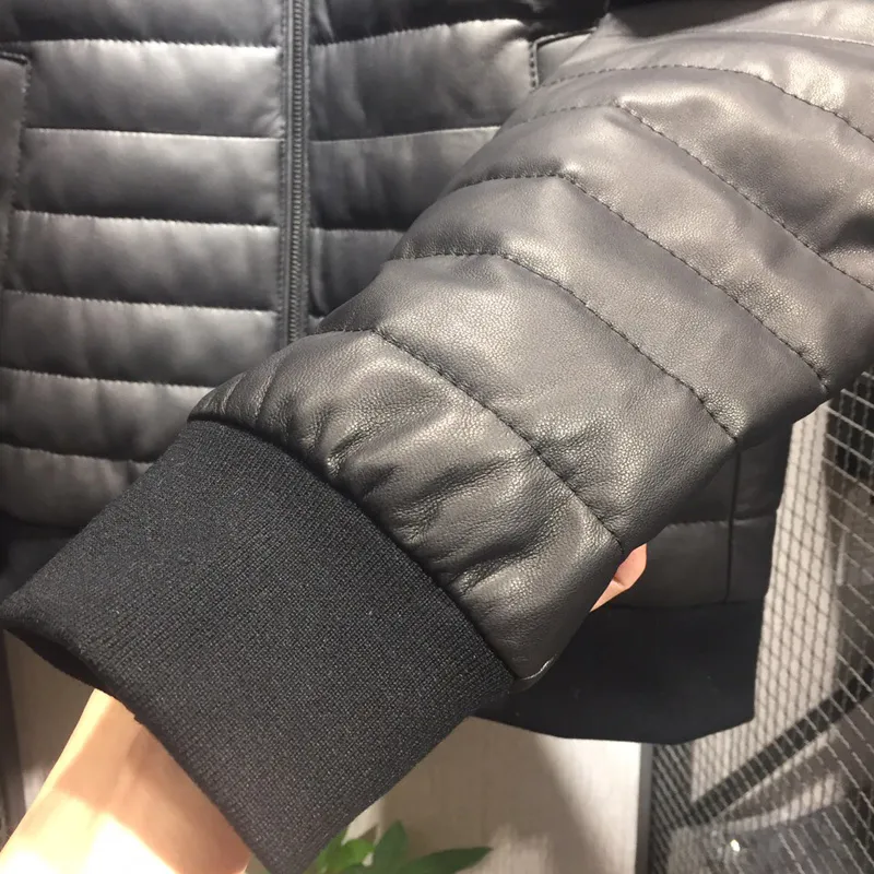 5658_15333460206329.jpg