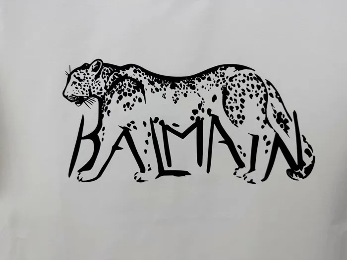 3a3ab8b66d4334f6d67ae67871224224_1773577262_2475.JPG