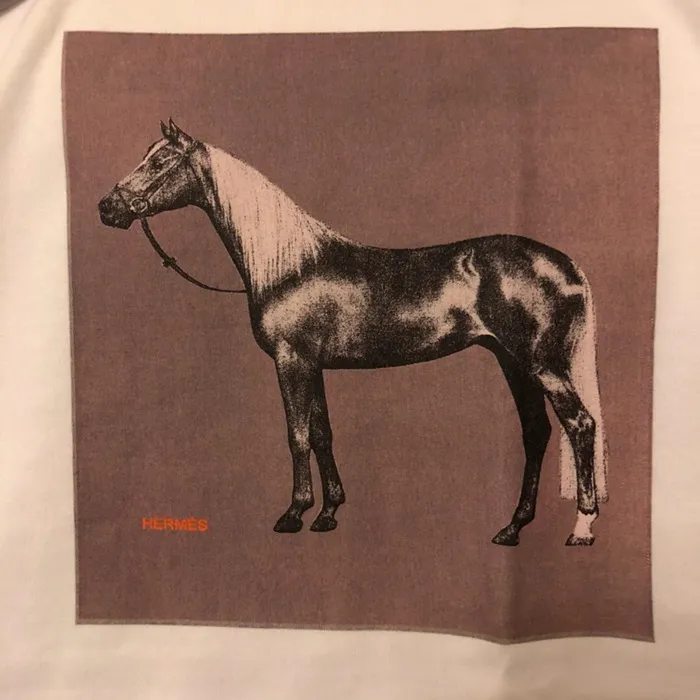 61026_15842461787010.JPG