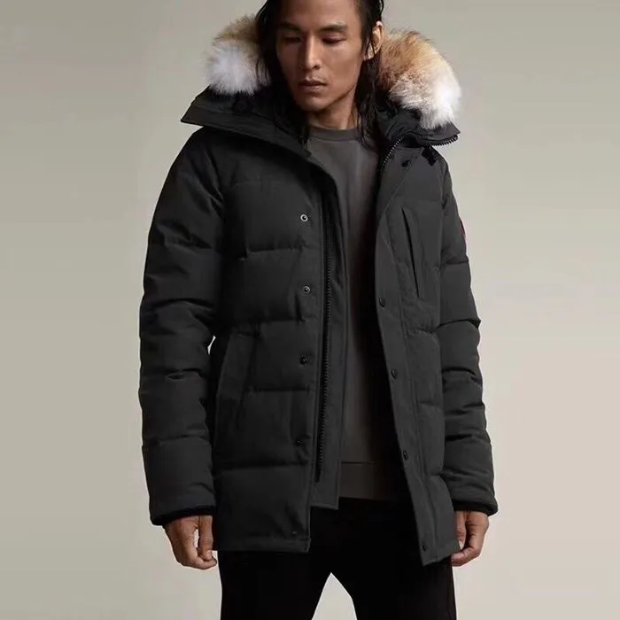 48359_15742269271133.JPG