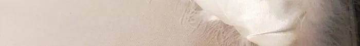 23179_15537569176519.jpg