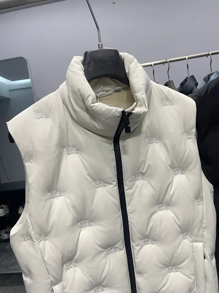 8fa36348415feab9b116280200d1bb23_1768455225_5526.JPG