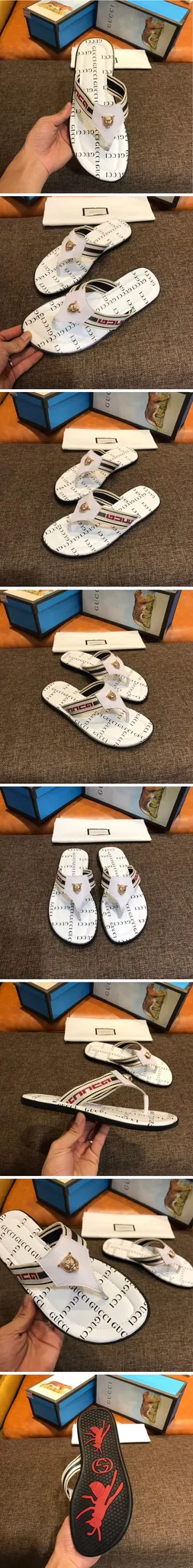 17246_15465054570451.jpg